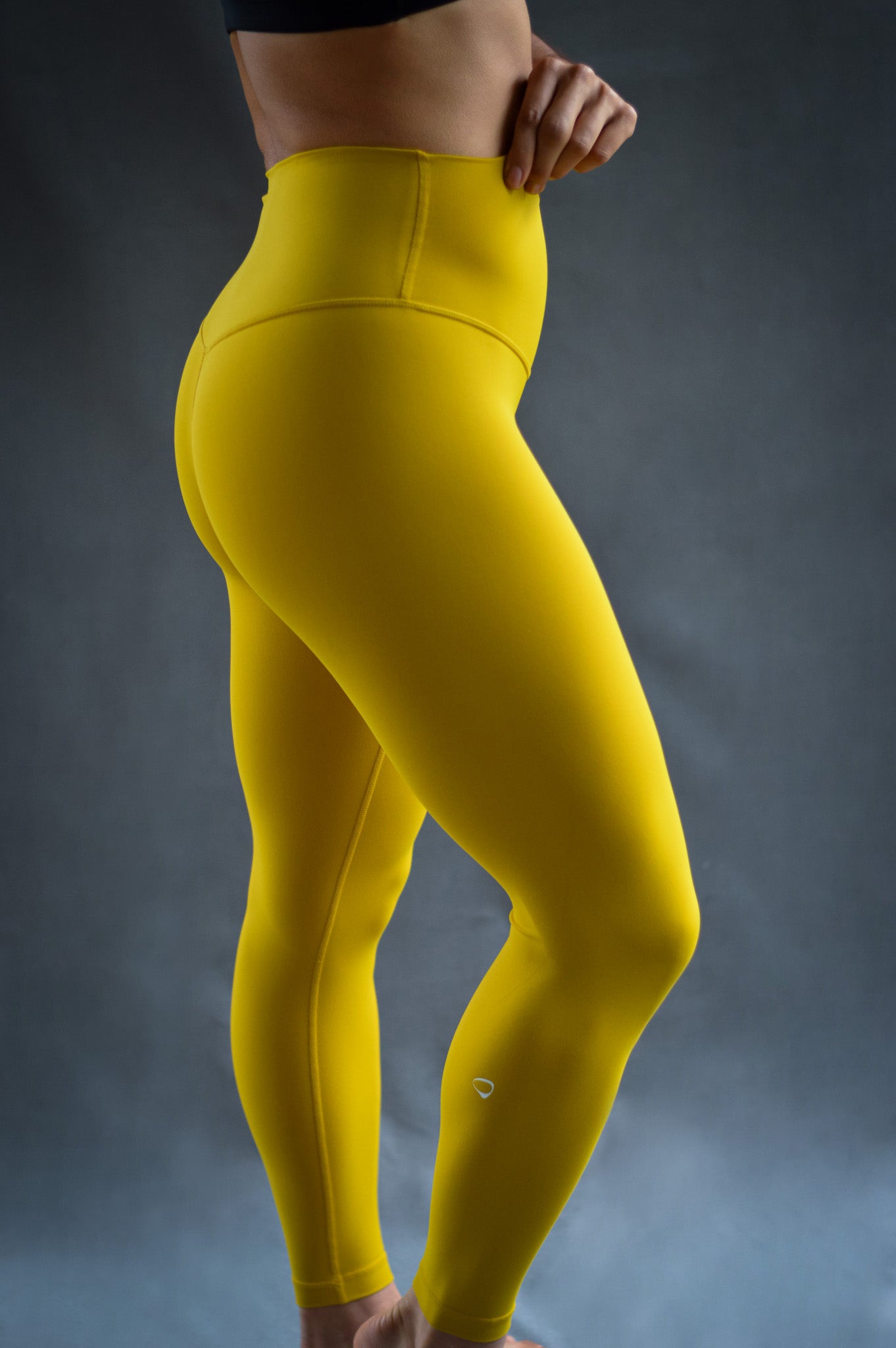 Legging Golden Cleopatra